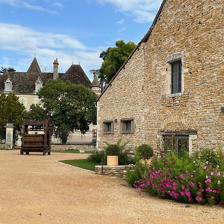 Chateau Du Mauny, Gites Et Chambres D'Hotes En Bourgogne Rosey Exteriör bild
