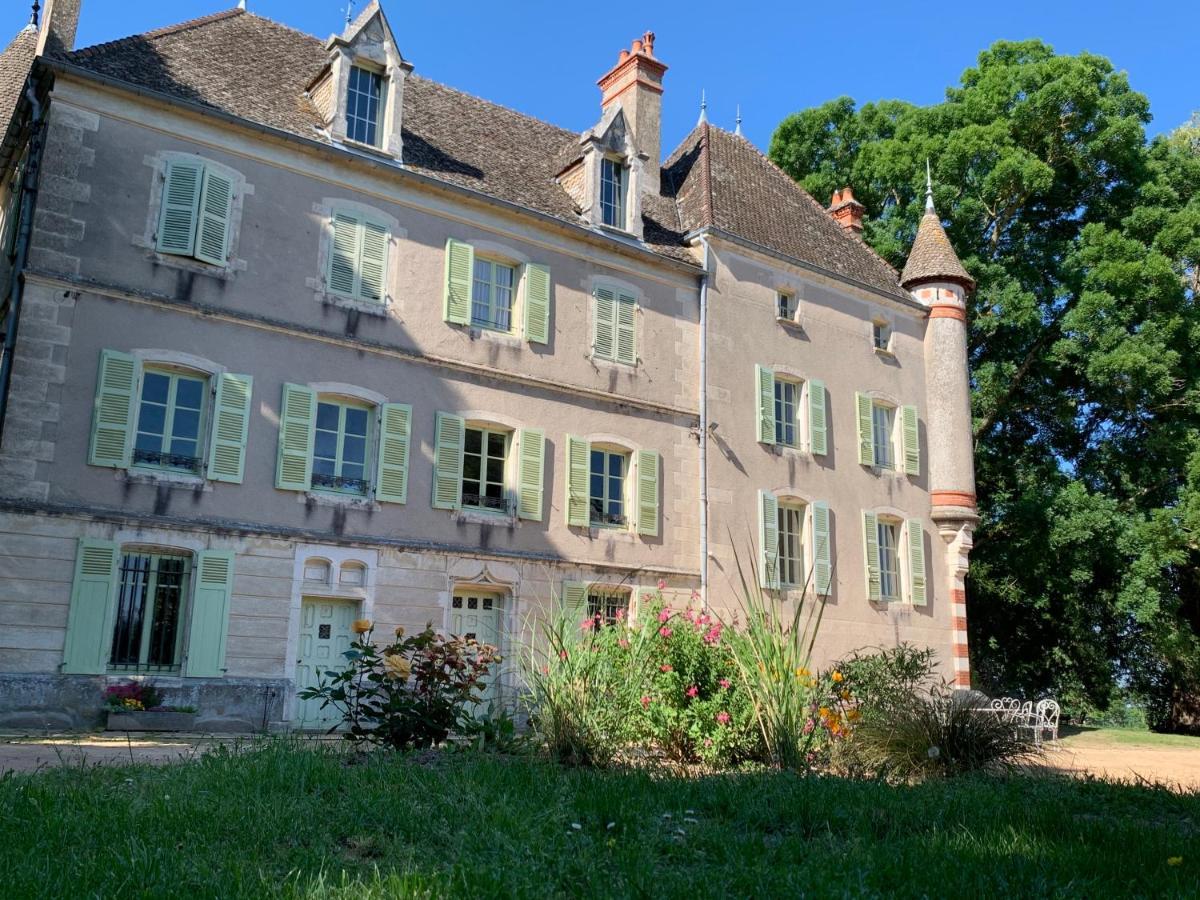 Chateau Du Mauny, Gites Et Chambres D'Hotes En Bourgogne Rosey Exteriör bild