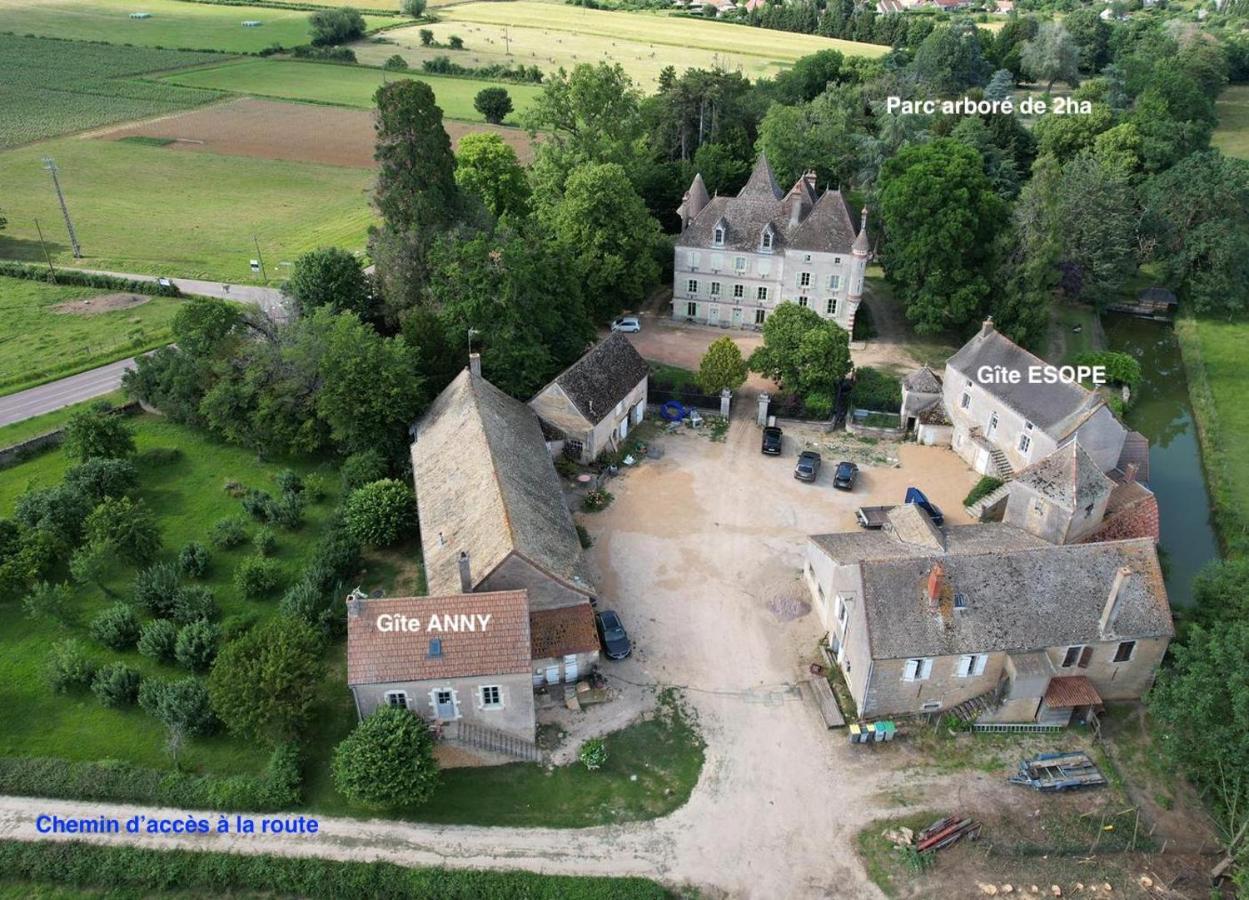 Chateau Du Mauny, Gites Et Chambres D'Hotes En Bourgogne Rosey Exteriör bild