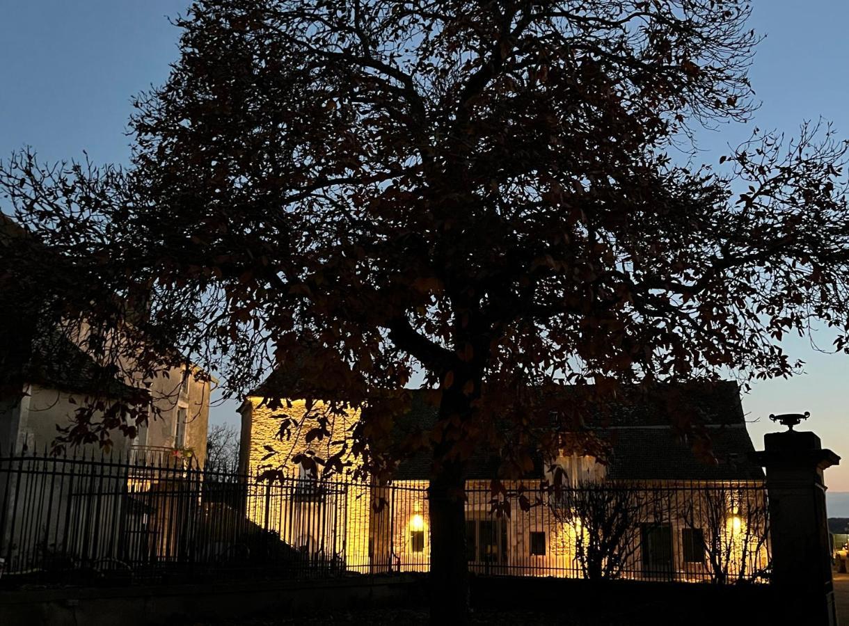 Chateau Du Mauny, Gites Et Chambres D'Hotes En Bourgogne Rosey Exteriör bild