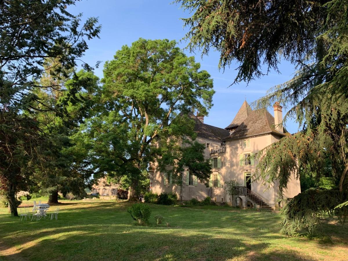 Chateau Du Mauny, Gites Et Chambres D'Hotes En Bourgogne Rosey Exteriör bild