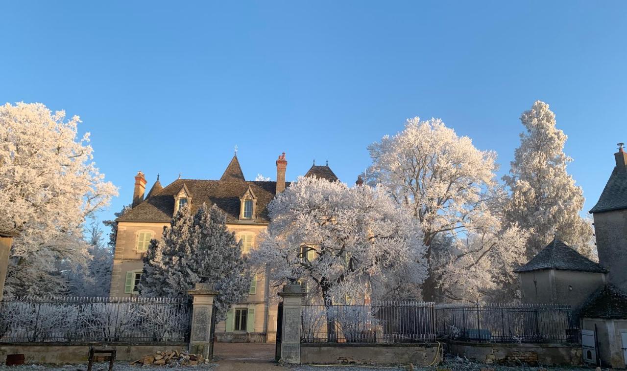 Chateau Du Mauny, Gites Et Chambres D'Hotes En Bourgogne Rosey Exteriör bild