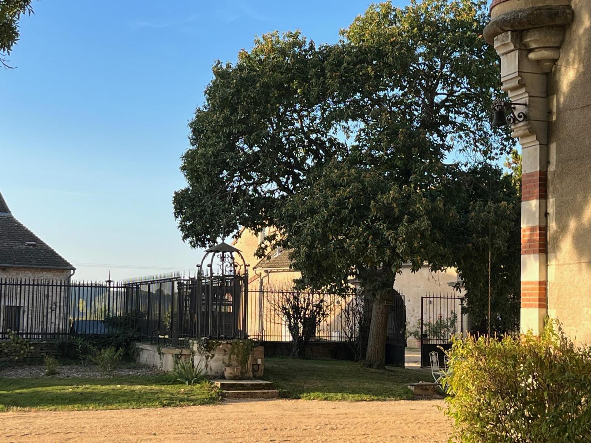 Chateau Du Mauny, Gites Et Chambres D'Hotes En Bourgogne Rosey Exteriör bild